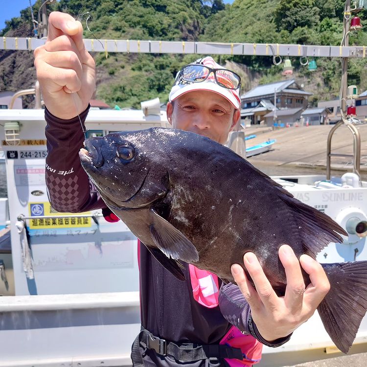 磯釣りで石鯛（イシダイ）GET！！ | お知らせ | あたらしや旅館